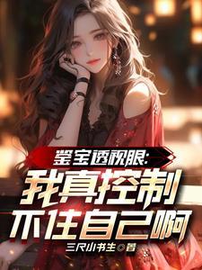 透视鉴宝师 透视鉴宝师