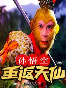孙悟空到了几重天 孙悟空到了几重天