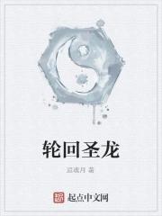 轮回圣典合成攻略 轮回圣典合成攻略