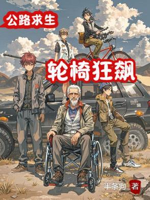 轮椅赛车手 轮椅赛车手