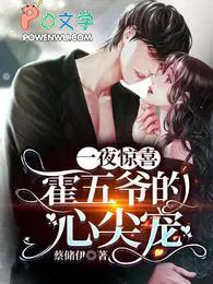 一夜情深霍 一夜情深霍