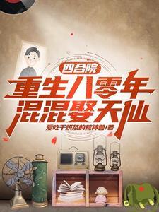 四合院从捡破烂 四合院从捡破烂