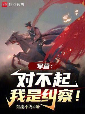 我是纠察!无防盗 我是纠察!无防盗