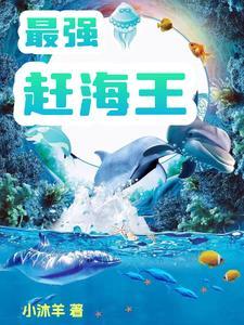 最强赶海王在线阅读 最强赶海王在线阅读
