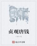 贞观唐钱TXT书包网 贞观唐钱TXT书包网