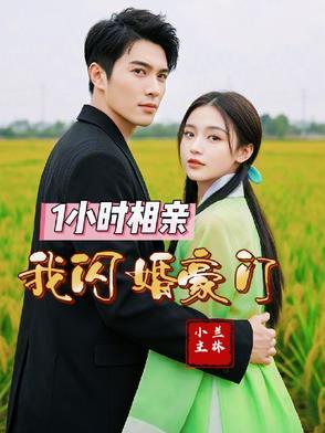 相亲当天我闪婚了豪门继承人 相亲当天我闪婚了豪门继承人
