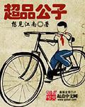 超品公子 百科 超品公子 百科