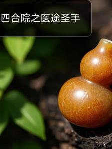 四合院国医圣手 四合院国医圣手