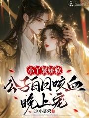 丫鬟公子 丫鬟公子