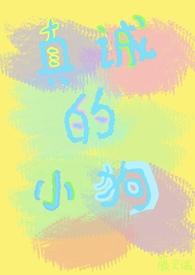 诚实的小狗作文300字 诚实的小狗作文300字