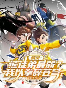 武道熊师流派 武道熊师流派