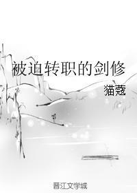 被迫转职的剑修无cp吗 被迫转职的剑修无cp吗