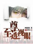 至尊透视眼TXT免费全本 至尊透视眼TXT免费全本