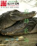 寂静农场之流的 寂静农场之流的