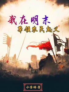 穿越到明末的争霸 穿越到明末的争霸