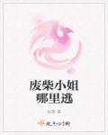 废柴小姐的蜕变 废柴小姐的蜕变