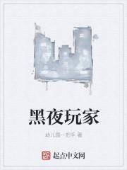 黑夜玩家TXT 黑夜玩家TXT