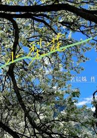 小梨花(校园)笔趣阁 小梨花(校园)笔趣阁