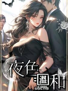 夜色温柔这本书怎么样 夜色温柔这本书怎么样