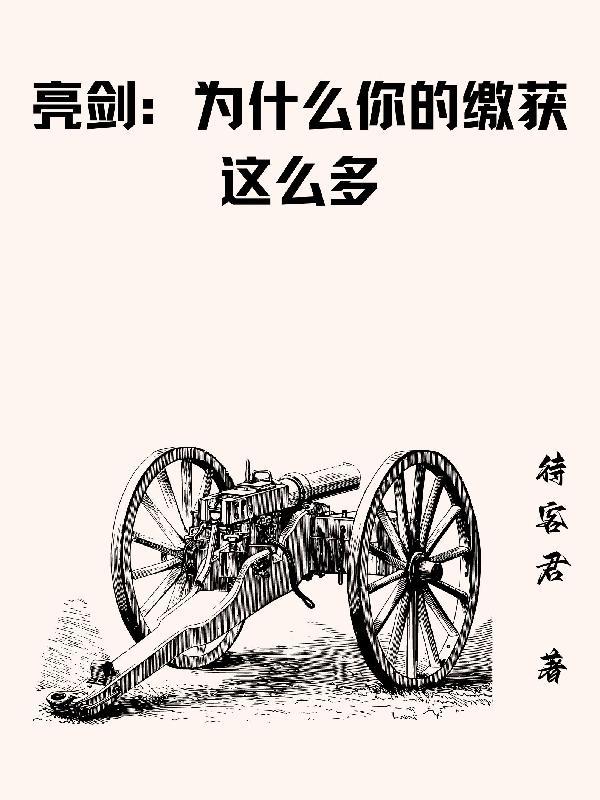 亮剑为什么你的缴获这么多简介 亮剑为什么你的缴获这么多简介