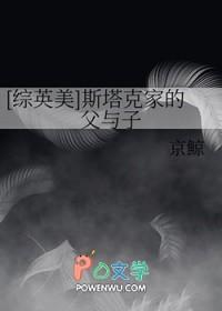 斯塔克的父亲 斯塔克的父亲