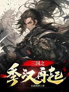 三国之季汉 三国之季汉