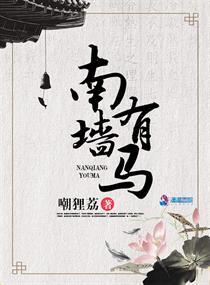 南墙的是什么意思 南墙的是什么意思