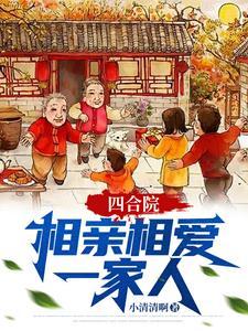 四合院真实视频 四合院真实视频