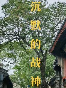 沉默的神的传说 沉默的神的传说