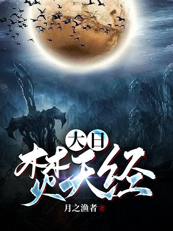 大日焚天经林枫 大日焚天经林枫