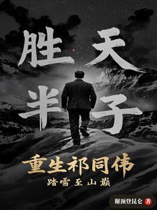 踏雪至山巅 踏雪至山巅