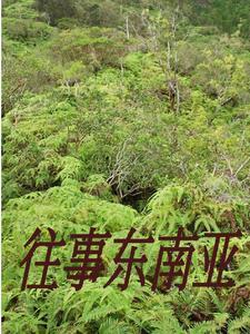 缅北逃亡 缅北逃亡