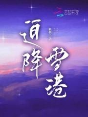 迫降雪港免费阅读全文 迫降雪港免费阅读全文