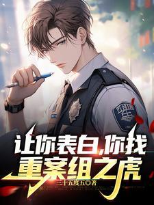 重案组的故事 重案组的故事