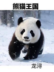 搜索熊猫国 搜索熊猫国