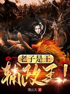 辅政王 辅政王