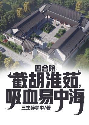 四合院老屋 四合院老屋