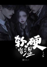软硬是啥意思 软硬是啥意思