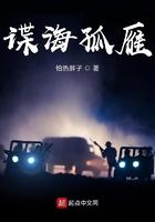 谍海孤雁最新章节 谍海孤雁最新章节