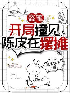 盗墓从老九门开始选择隐藏身份爱看书吧 盗墓从老九门开始选择隐藏身份爱看书吧