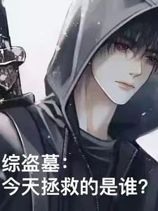 综盗墓主攻 综盗墓主攻