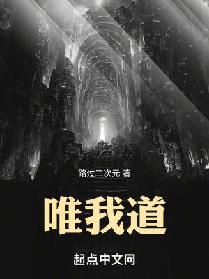 唯我道境界划分 唯我道境界划分