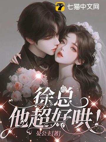 徐总是哪部电视剧 徐总是哪部电视剧