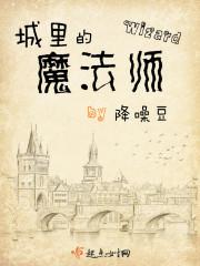 城里的魔法师是双男主吗 城里的魔法师是双男主吗