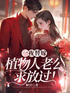 一夜替嫁植物人老公求放过是什么书 一夜替嫁植物人老公求放过是什么书