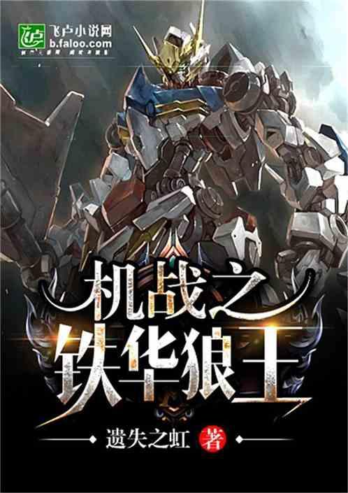 机战之铁华狼王笔趣阁