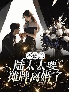 陆太太又闹离婚了 陆太太又闹离婚了