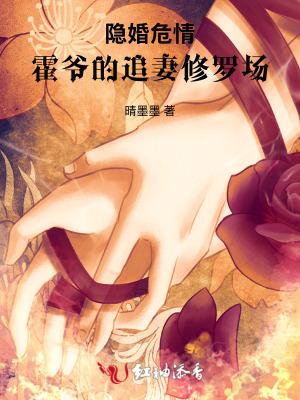 霍少的隐婚新娘