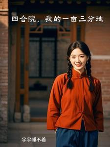 四合院我成了一大爷 四合院我成了一大爷