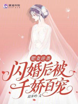 肥妻难挡闪婚老公天价宠 肥妻难挡闪婚老公天价宠